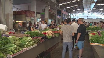 南部重拳出擊 嚴查食品藥品商家，15起食用農產品批發案件移交公安機關