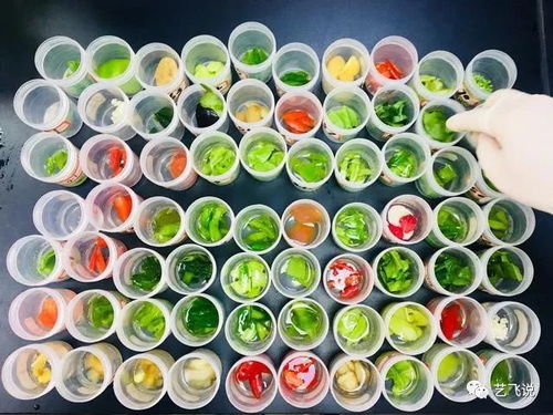 武漢節(jié)前農(nóng)產(chǎn)品質量安全獲堅實保障，189批次抽檢結果全數(shù)合格