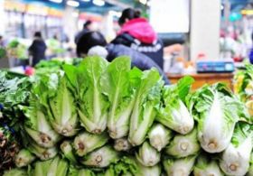 遼寧全面推行食用農(nóng)產(chǎn)品批發(fā)市場進貨批批檢驗制度